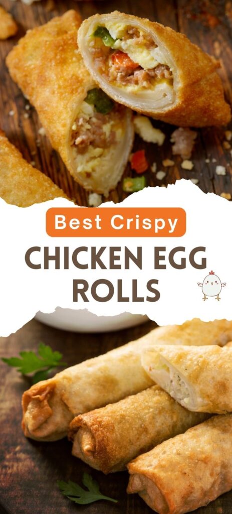 Best Crispy Chicken Egg Rolls