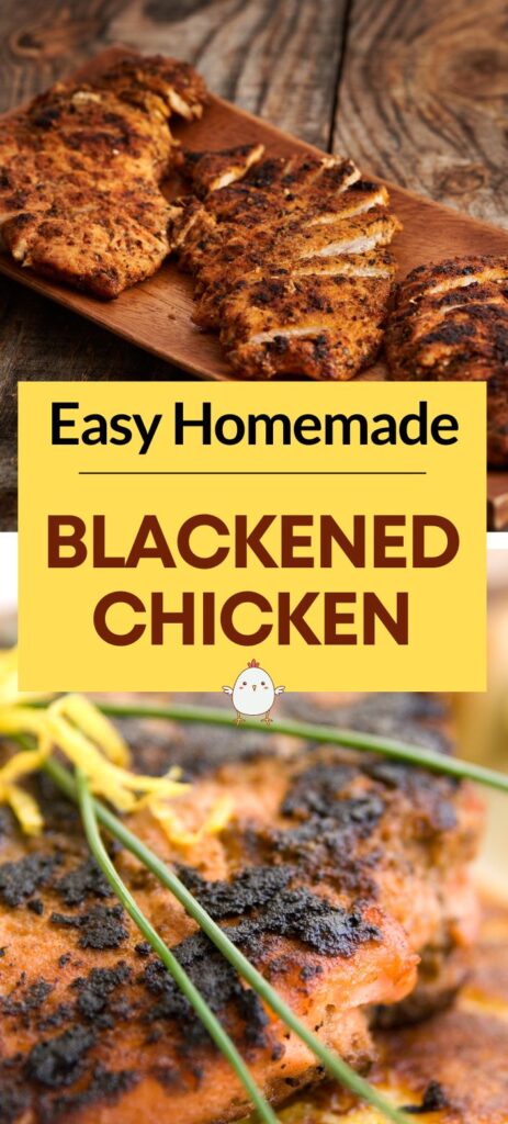 Blackened chicken with seasoning