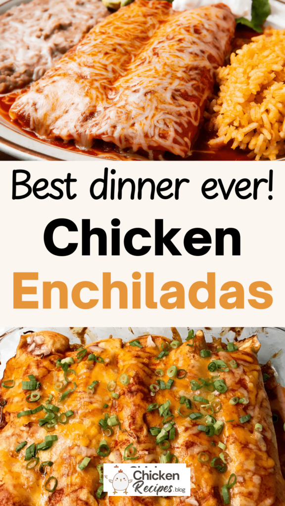 Mexican Chicken Enchiladas