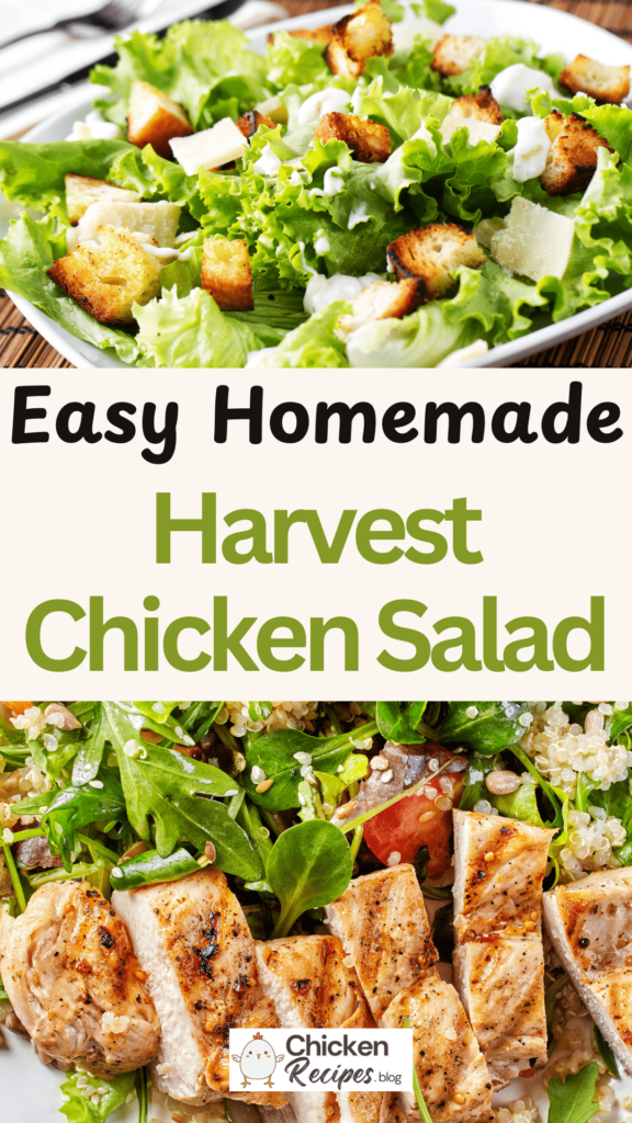 Homemade Harvest Chicken Salad