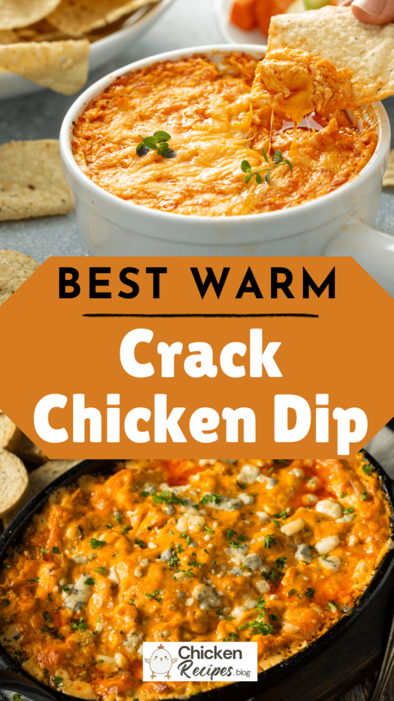 Warm Crack Chicken Dip