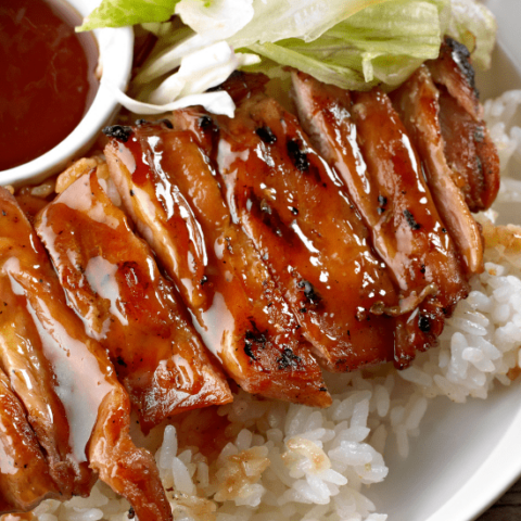 Slow Cooker Teriyaki Chicken