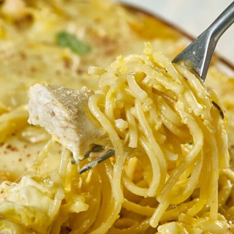 cheesy chicken spaghetti