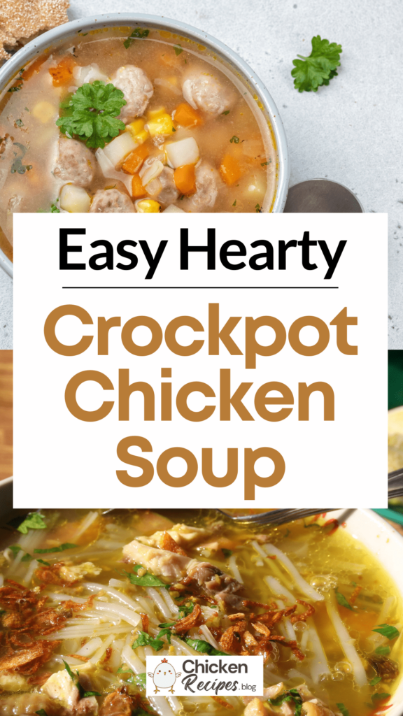 slow cooker chicken soup