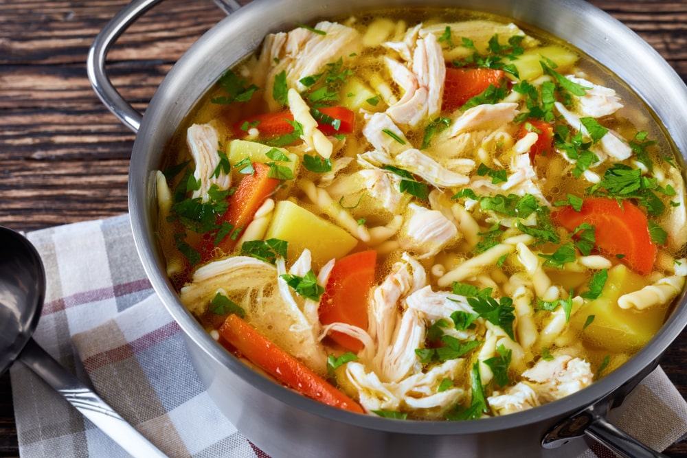 Best Chicken Vegetable Soup