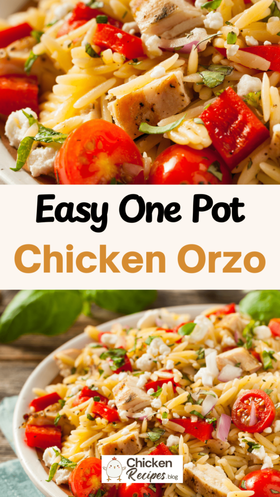 Flavorful Chicken Orzo