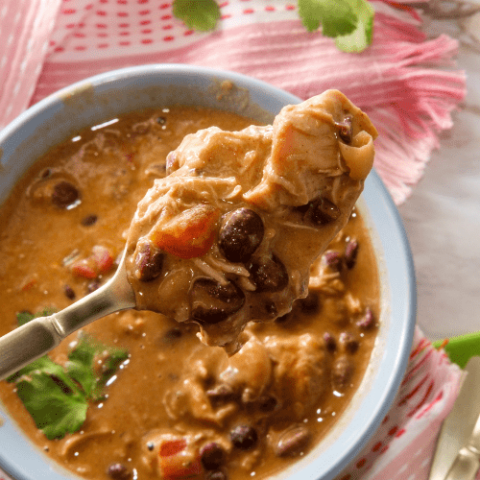 Slow Cooker Chicken Enchilada Soup