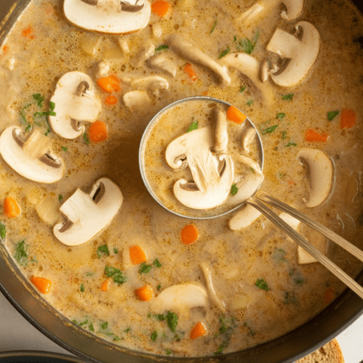 best Creamy Chicken and Mushroom Soup
