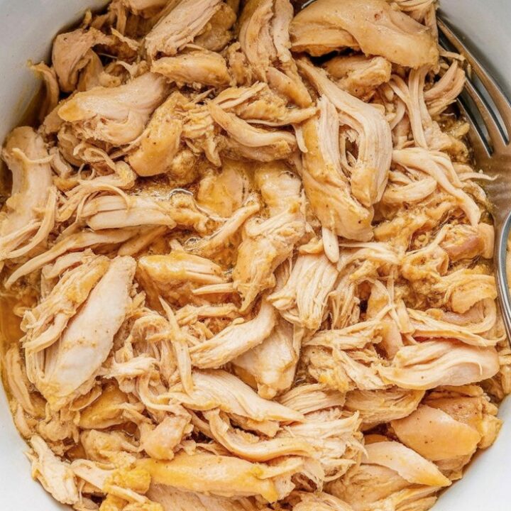 Instant Pot Shredded Chicken from Frozen