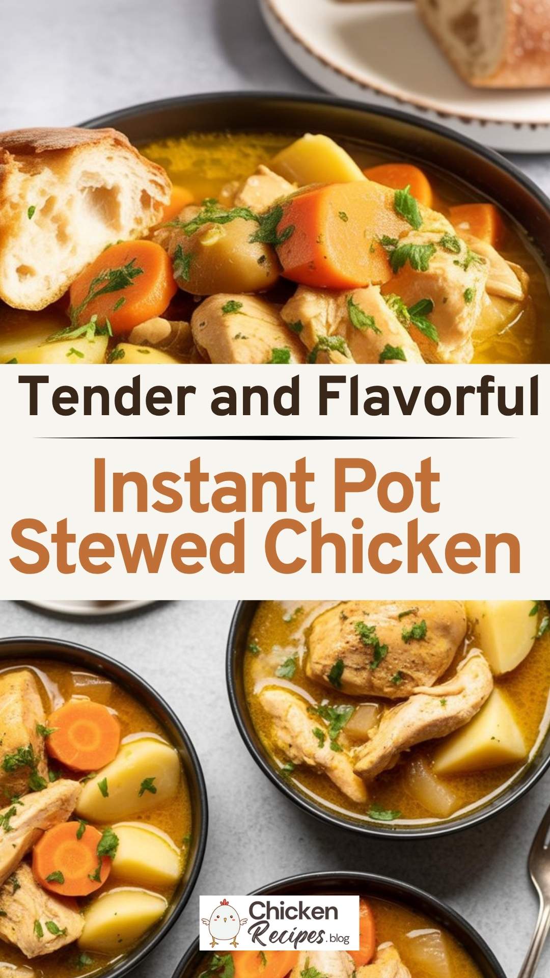 easy Instant Pot Stewed Chicken