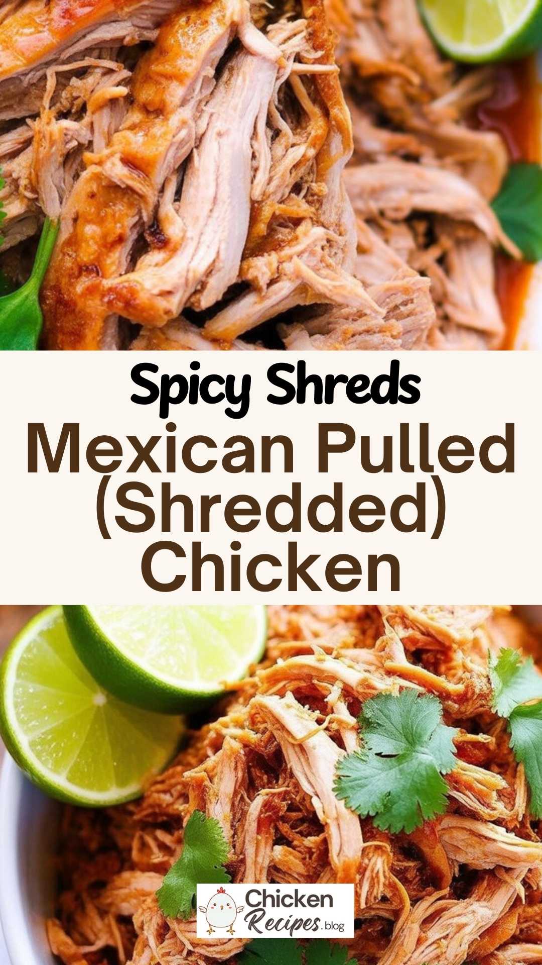 EASY Mexican Pulled (Shredded) Chicken