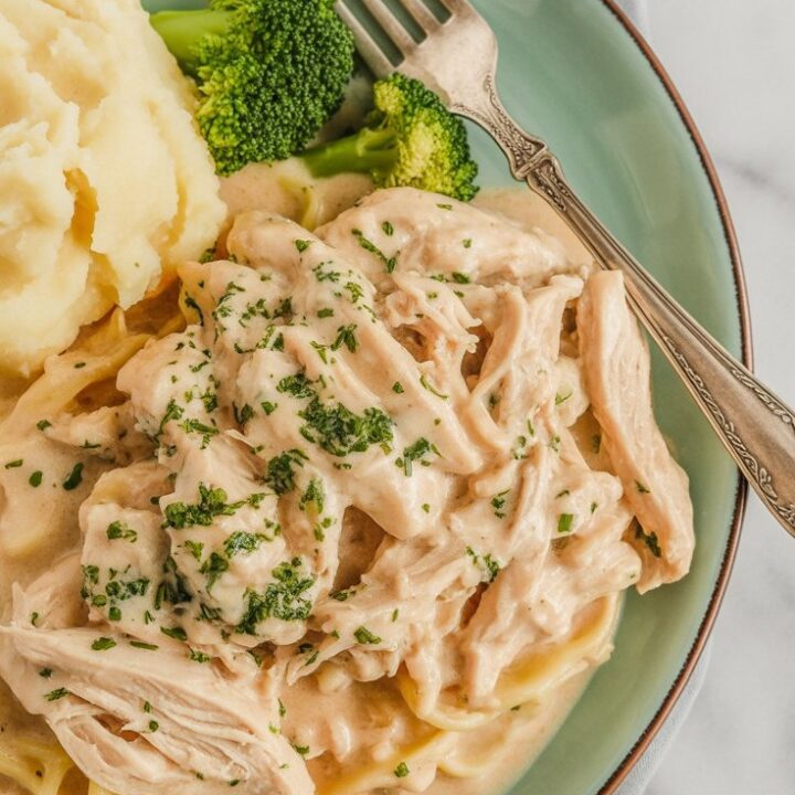 Shredded Chicken And Gravy